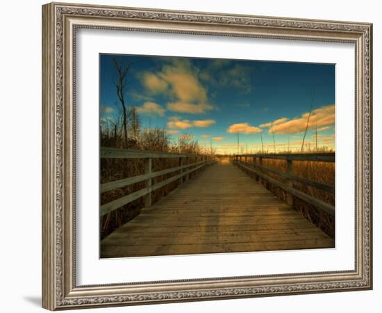 Marsh Path-Irene Suchocki-Framed Photographic Print