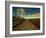 Marsh Path-Irene Suchocki-Framed Photographic Print