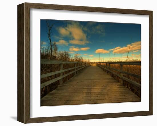 Marsh Path-Irene Suchocki-Framed Photographic Print