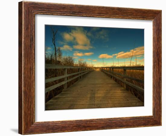 Marsh Path-Irene Suchocki-Framed Photographic Print