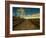 Marsh Path-Irene Suchocki-Framed Photographic Print