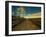 Marsh Path-Irene Suchocki-Framed Photographic Print