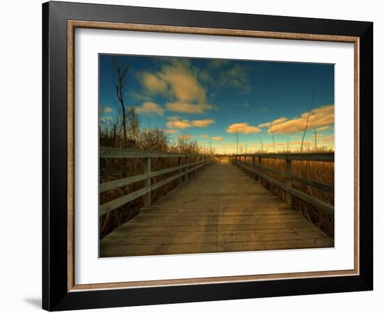 Marsh Path-Irene Suchocki-Framed Photographic Print