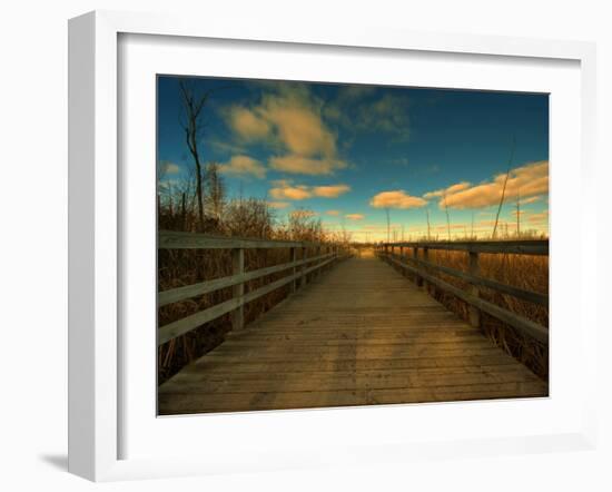 Marsh Path-Irene Suchocki-Framed Photographic Print