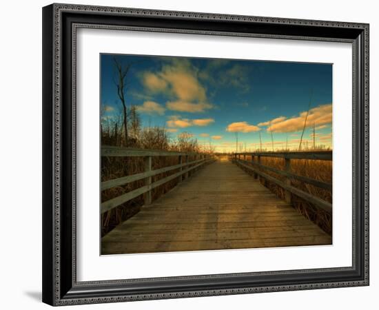 Marsh Path-Irene Suchocki-Framed Photographic Print