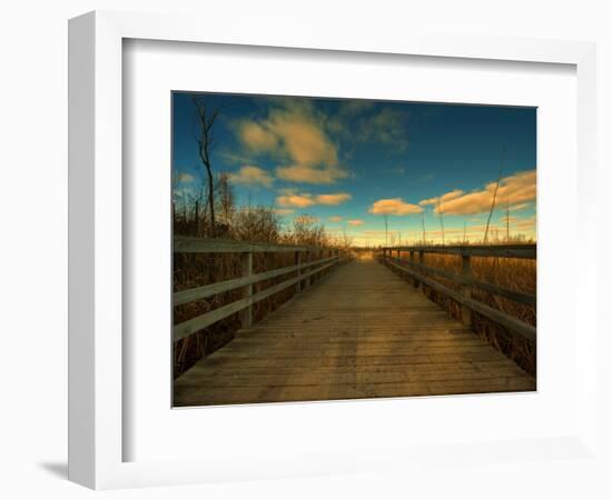 Marsh Path-Irene Suchocki-Framed Premium Photographic Print