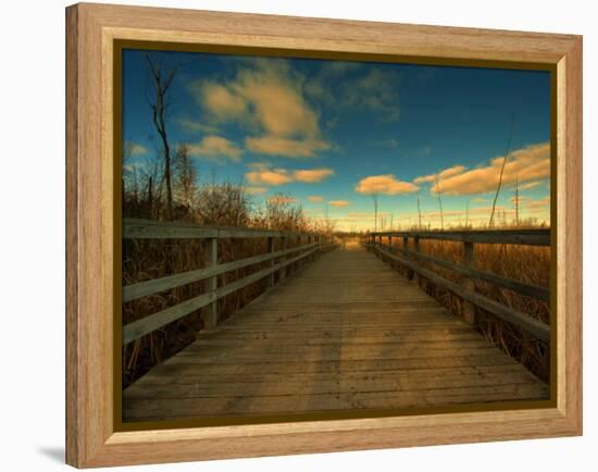 Marsh Path-Irene Suchocki-Framed Premier Image Canvas