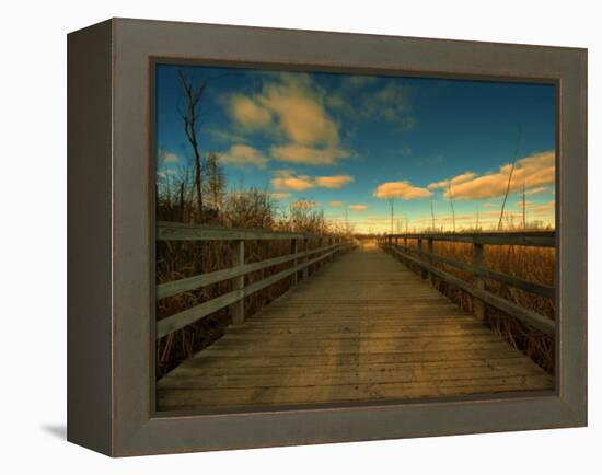 Marsh Path-Irene Suchocki-Framed Premier Image Canvas