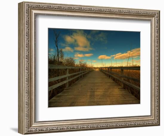 Marsh Path-Irene Suchocki-Framed Photographic Print