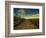 Marsh Path-Irene Suchocki-Framed Photographic Print