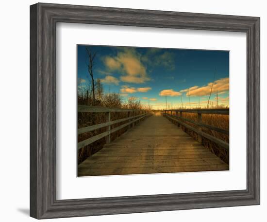 Marsh Path-Irene Suchocki-Framed Photographic Print