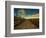 Marsh Path-Irene Suchocki-Framed Photographic Print