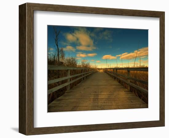 Marsh Path-Irene Suchocki-Framed Photographic Print