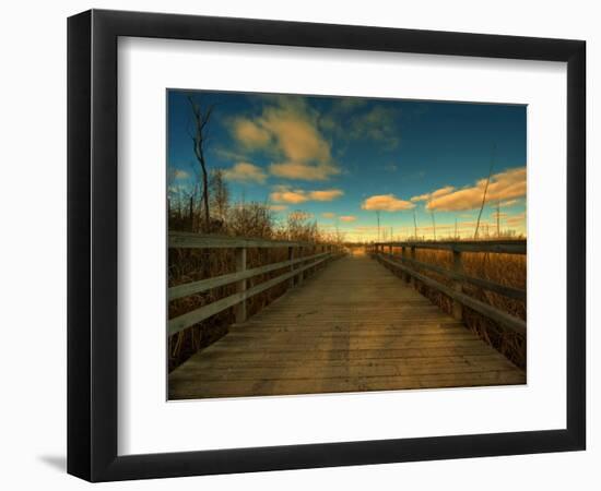 Marsh Path-Irene Suchocki-Framed Photographic Print