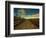 Marsh Path-Irene Suchocki-Framed Photographic Print