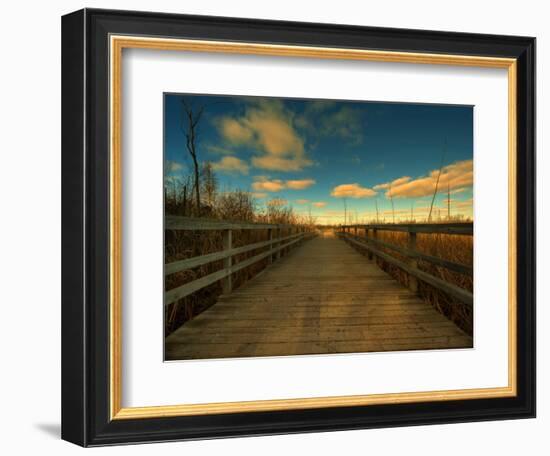 Marsh Path-Irene Suchocki-Framed Photographic Print