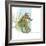 Marsh Seahorse Grass-Robbin Rawlings-Framed Premium Giclee Print