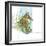 Marsh Seahorse Grass-Robbin Rawlings-Framed Art Print