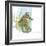 Marsh Seahorse Grass-Robbin Rawlings-Framed Art Print