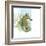 Marsh Seahorse Grass-Robbin Rawlings-Framed Art Print