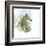 Marsh Seahorse Grass-Robbin Rawlings-Framed Art Print