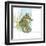 Marsh Seahorse Grass-Robbin Rawlings-Framed Art Print