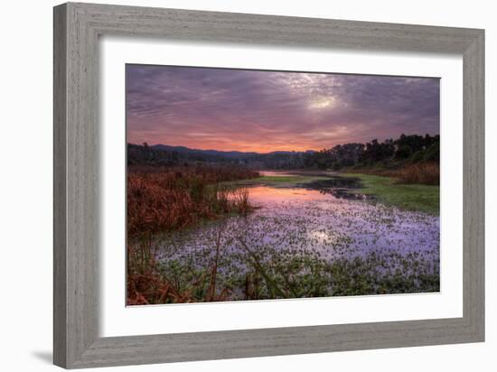 Marsh Sunrise at Fort Bragg, California Coast-Vincent James-Framed Photographic Print