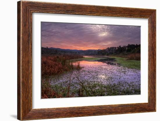 Marsh Sunrise at Fort Bragg, California Coast-Vincent James-Framed Photographic Print