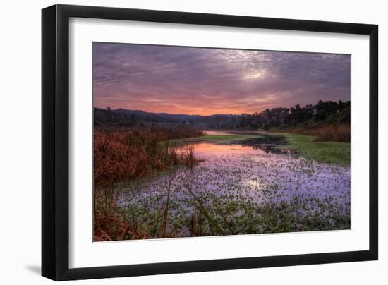 Marsh Sunrise at Fort Bragg, California Coast-Vincent James-Framed Photographic Print