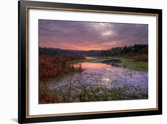 Marsh Sunrise at Fort Bragg, California Coast-Vincent James-Framed Photographic Print