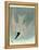 Marsh Tern-John James Audubon-Framed Premier Image Canvas