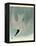 Marsh Tern-John James Audubon-Framed Premier Image Canvas