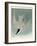 Marsh Tern-John James Audubon-Framed Giclee Print