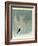 Marsh Tern-John James Audubon-Framed Giclee Print