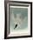 Marsh Tern-John James Audubon-Framed Giclee Print