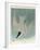 Marsh Tern-John James Audubon-Framed Giclee Print