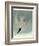 Marsh Tern-John James Audubon-Framed Giclee Print