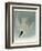 Marsh Tern-John James Audubon-Framed Giclee Print