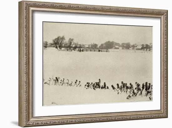 Marsh Weeds (algue des marais)-Peter Henry Emerson-Framed Giclee Print