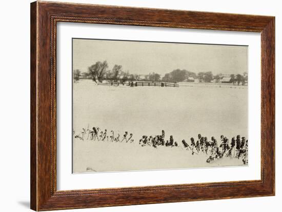 Marsh Weeds (algue des marais)-Peter Henry Emerson-Framed Giclee Print