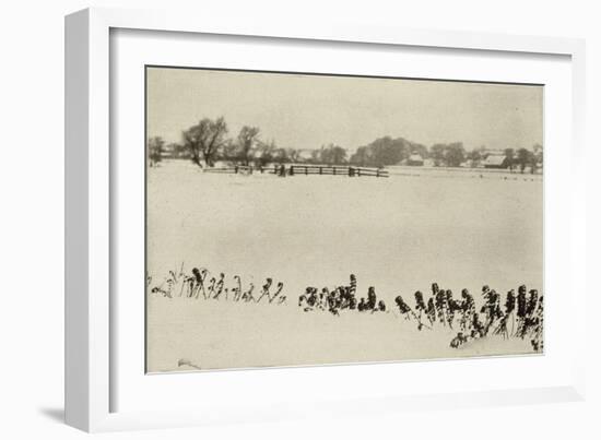 Marsh Weeds (algue des marais)-Peter Henry Emerson-Framed Giclee Print