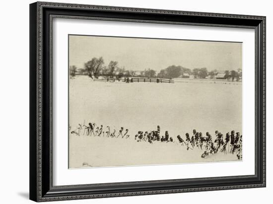 Marsh Weeds (algue des marais)-Peter Henry Emerson-Framed Giclee Print