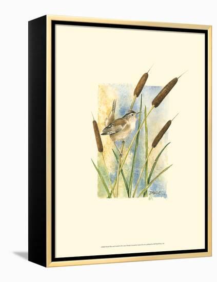 Marsh Wren and Cattails-Janet Mandel-Framed Stretched Canvas