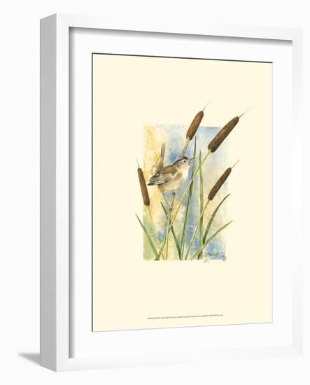Marsh Wren and Cattails-Janet Mandel-Framed Premium Giclee Print