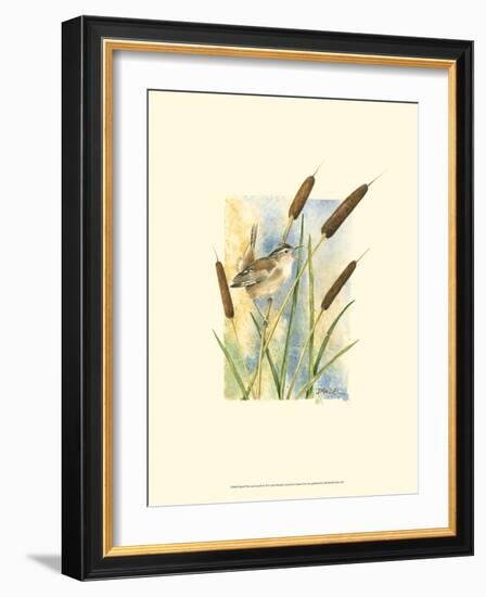 Marsh Wren and Cattails-Janet Mandel-Framed Premium Giclee Print