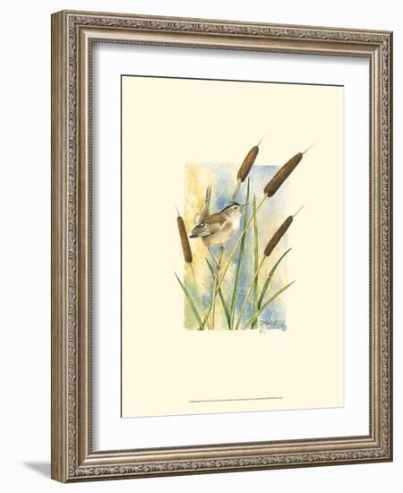 Marsh Wren and Cattails-Janet Mandel-Framed Art Print