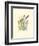 Marsh Wren and Cattails-Janet Mandel-Framed Art Print