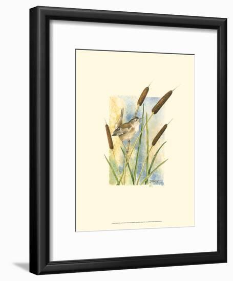 Marsh Wren and Cattails-Janet Mandel-Framed Art Print