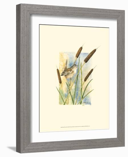 Marsh Wren and Cattails-Janet Mandel-Framed Art Print