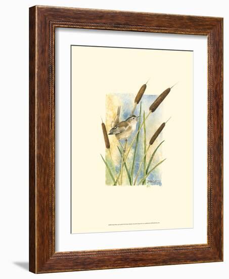 Marsh Wren and Cattails-Janet Mandel-Framed Art Print